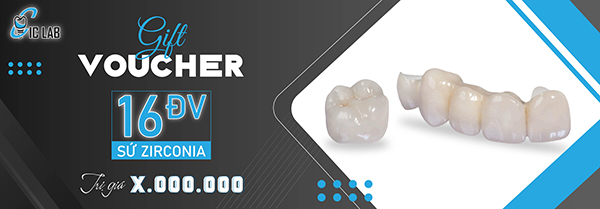 Voucher 16 đv sứ Ziconia